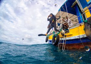 เกาะเต่า